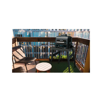 Гриль-барбекю Ninja Woodfire Pro XL OG850EU