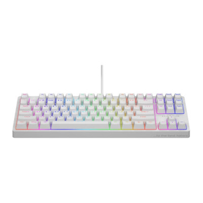 Клавиатура Hator Rockfall 2 Mecha TKL Orange White (HTK-521)