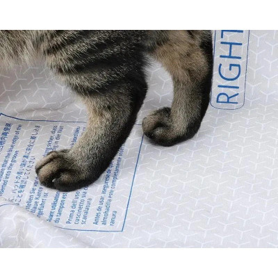 Змінна підкладка для наповнювача Petkit High Performance Cat Litter Pad Ultra (P99035) Змінна підкладка для наповнювача Petkit High Performance Cat Litter Pad Ultra (P99035)