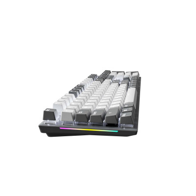 Клавіатура GamePro Genesis Metallic MK144G Outemu Red Swithes USB Gray Клавіатура GamePro Genesis Metallic MK144G Outemu Red Swithes USB Gray