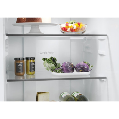 Холодильник Candy CNCQ2T518EW