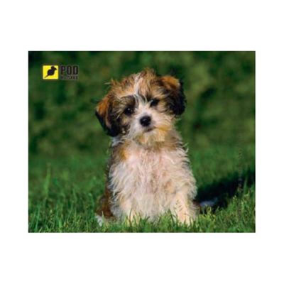 Килимок для миші Podmyshku Кудлате щеня Килимок для миші Podmyshku Кудлате щеня