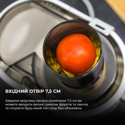 Соковижималка Cecotec Strong Titanium 19000 XXL CCTC-04110 (8435484041102) Соковижималка Cecotec Strong Titanium 19000 XXL CCTC-04110 (8435484041102)