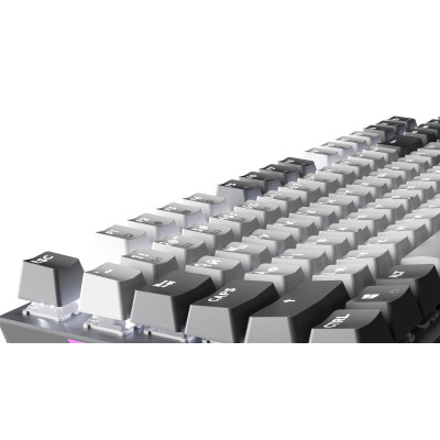 Клавіатура GamePro Genesis Metallic MK144G Outemu Red Swithes USB Gray Клавіатура GamePro Genesis Metallic MK144G Outemu Red Swithes USB Gray