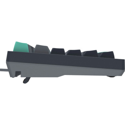 Клавіатура A4Tech Fstyler FS300 Panda Rock Climbing Клавіатура A4Tech Fstyler FS300 Panda Rock Climbing