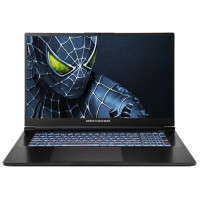 Ноутбук Dream Machines RG5050-17 17.3FHD IPS, Intel i9-14900HX, 32GB, F2TB, NVD5050-8, DOS, чорний
