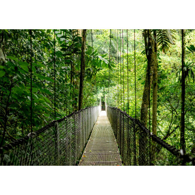 Ноутбук HP Probook 4-G1a 16