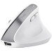 Миша Trust Bayo+ Multidevice Ergonomic, BT/WL/USB-A, біла Миша Trust Bayo+ Multidevice Ergonomic, BT/WL/USB-A, біла