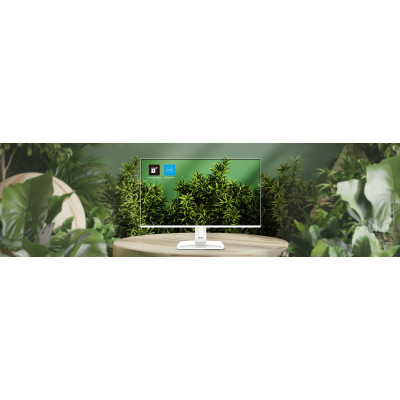 Монітор MSI 24.5