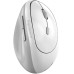 Миша Genius Ergo 8350S, Silent, AI, WL/BT, біло-сірий