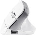 Миша Trust Bayo+ Multidevice Ergonomic, BT/WL/USB-A, біла Миша Trust Bayo+ Multidevice Ergonomic, BT/WL/USB-A, біла