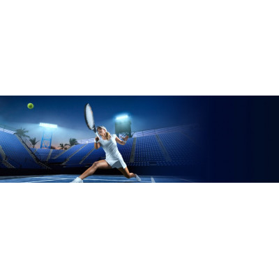 Карта пам'яті Transcend SD 256GB C10 UHS-I U3 A2 R160/W90MB/s 4K