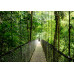 Ноутбук HP Probook 4-G1a 16