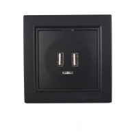 Розетка USB (2 порти) 2A, Enzo бездоганний графіт Розетка USB (2 порти) 2A, Enzo бездоганний графіт