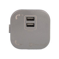 Розетка трекова подвійна USB 2.4 А, Unique Elegance Pandora (срібло) Розетка трекова подвійна USB 2.4 А, Unique Elegance Pandora (срібло)