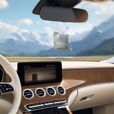 Автомобільний освіжувач повітря Baseus Margaret Series Car Air Freshener (Cedar Oud) Frosted Gray