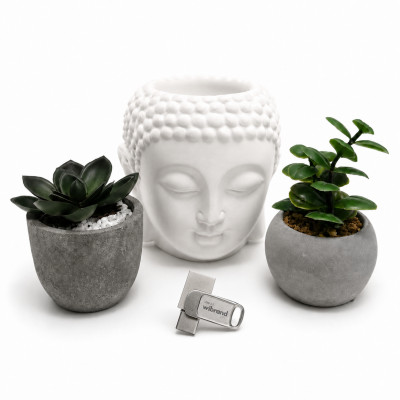 Флеш-накопичувач Wibrand USB 3.2 Gen1 Bee 256GB USB Type-A/USB Type-C Silver