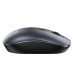 Маніпулятор миша BOROFONE BG13 Winner 2.4G business wireless mouse Black Metal Gray Маніпулятор миша BOROFONE BG13 Winner 2.4G business wireless mouse Black Metal Gray