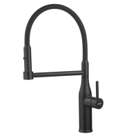 Змішувач для кухні Koer KI-70005-05 з чорним силіконовим виливом (нерж. сталь) (KR5005) Змішувач для кухні Koer KI-70005-05 з чорним силіконовим виливом (нерж. сталь) (KR5005)