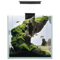 Акваріумний набір Природа «Міні-куб» 22х22х22 см (9,5 л) Акваріумний набір Природа «Міні-куб» 22х22х22 см (9,5 л)