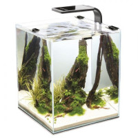 Акваріум Aquael Smart Day & Night для креветок, чорний, 30 л Акваріум Aquael Smart Day & Night для креветок, чорний, 30 л