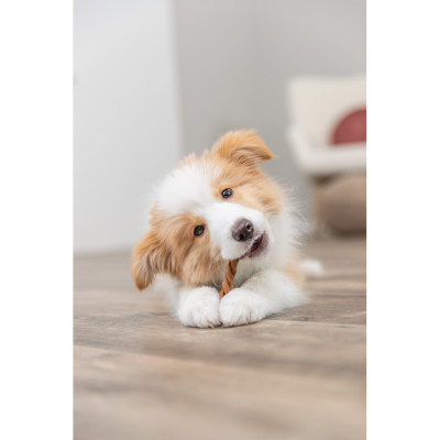 Ласощі Trixie Chewing Braid для собак косичка з бичачого пеніса та куркою 25 см 50 шт/уп