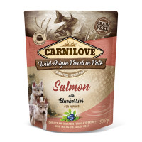 Корм вологий Carnilove Pate Salmon with Blueberries for Puppies пауч для цуценят з лососем і чорницею 300 г Корм вологий Carnilove Pate Salmon with Blueberries for Puppies пауч для цуценят з лососем і чорницею 300 г
