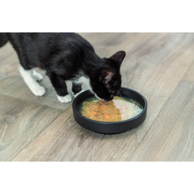 Корм вологий Trixie Salmon Soup with chicken and salmon для котів  Лососевий суп з куркою та лососем, 80 г