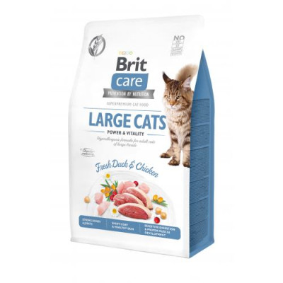 Сухий корм Brit Care Cat GF Large Power & Vitality для котів великих порід, качка та курка, 400 г Сухий корм Brit Care Cat GF Large Power & Vitality для котів великих порід, качка та курка, 400 г