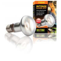 Рефлекторна лампа Exo Terra Intense Basking Spot для тераріумних тварин, денна, розжарювання, 75 W, E27 (для обігріву) Рефлекторна лампа Exo Terra Intense Basking Spot для тераріумних тварин, денна, розжарювання, 75 W, E27 (для обігріву)