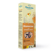 Колосок Природа  Колосок Природа