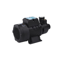 Насос поверхневий вихровий Pumpman QBB80 Нmax 70 м Qmax 3 куб.м 750 Вт з проставкою від залипання Насос поверхневий вихровий Pumpman QBB80 Нmax 70 м Qmax 3 куб.м 750 Вт з проставкою від залипання