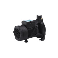 Насос поверхневий поливальний Pumpman TCP158 Нmax 33м Qmax 6куб.м 1 Насос поверхневий поливальний Pumpman TCP158 Нmax 33м Qmax 6куб.м 1