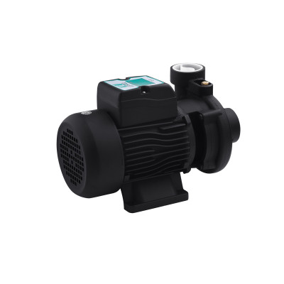 Насос поверхневий поливальний Pumpman 2DK20 Нmax 17 м Qmax 27 куб.м 2