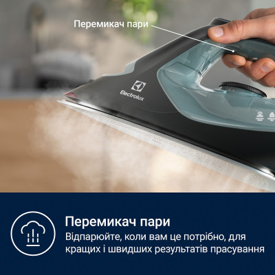 Праска Electrolux E7SI2-6OG (6973299) Праска Electrolux E7SI2-6OG (6973299)