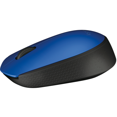 Миша Logitech Wireless Mouse M171 Blue (6275137) Миша Logitech Wireless Mouse M171 Blue (6275137)