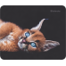 Килимок для миші Defender Wild (50803) (6287447) Килимок для миші Defender Wild (50803) (6287447)