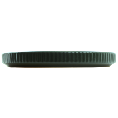 Тарілка обідня Limited Edition Robust Green (7133633)