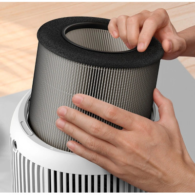 Фільтр Philips FY0900/30 (7109406) Фільтр Philips FY0900/30 (7109406)
