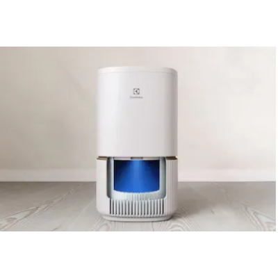 Фільтр Electrolux EFFBTH2  (7292570)