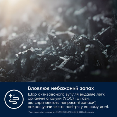 Фільтр Electrolux EFFCLN2EU (7109727) Фільтр Electrolux EFFCLN2EU (7109727)