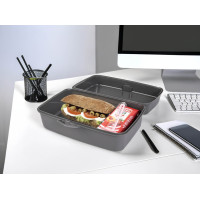Контейнер Herevin Grey Big Lunch Box (161459-801) (7182677) Контейнер Herevin Grey Big Lunch Box (161459-801) (7182677)