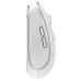 Миша комп'ютерна Yenkee YMS 2085WE Dual mode WL mouse NOBLE White  (7090573)
