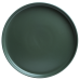 Тарілка обідня Limited Edition Robust Green (7133633)